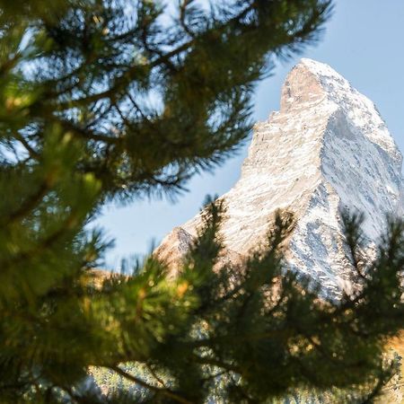 Bed & Breakfast Bijou Zermatt Exteriér fotografie